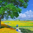 三台山衲田花海秀场 - 宿迁市旅游 缩略图 1