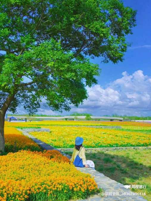 三台山衲田花海秀场 - 宿迁市旅游