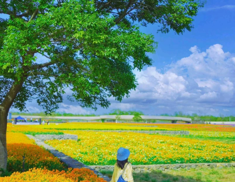 三台山衲田花海秀场 - 宿迁市旅游 1