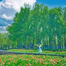 三台山衲田花海秀场 - 宿迁市旅游 缩略图 7