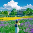 三台山衲田花海秀场 - 宿迁市旅游 缩略图 9