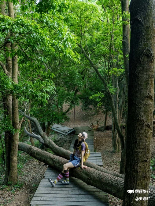 深圳北站-中心公园 - 深圳市旅游