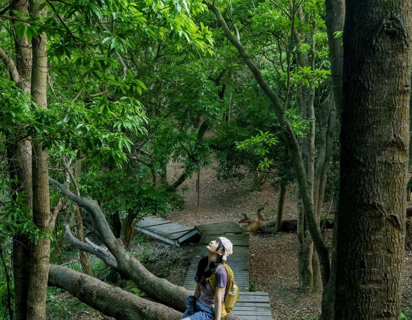 深圳北站-中心公园 - 深圳市旅游 1