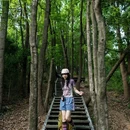 深圳北站-中心公园 - 深圳市旅游 缩略图 5