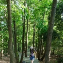 深圳北站-中心公园 - 深圳市旅游 缩略图 7
