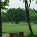 大沙河公园 - 深圳市旅游 缩略图 5
