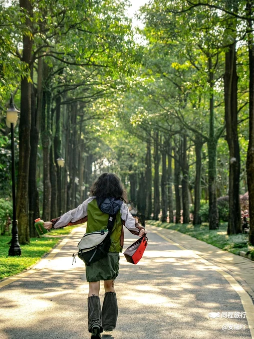 大沙河公园 - 深圳市旅游