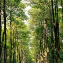 大沙河公园 - 深圳市旅游 缩略图 6