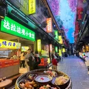 丽江古城 - 丽江市旅游 缩略图 7