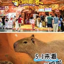 奇幻萌宠部落(新塘永旺梦乐城店) - 广州市旅游 缩略图 1