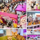 奇幻萌宠部落(新塘永旺梦乐城店) - 广州市旅游 缩略图 9