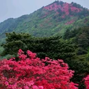 麻城龟峰山景区 - 黄冈市旅游 缩略图 2