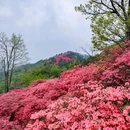 麻城龟峰山景区 - 黄冈市旅游 缩略图 3