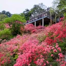 麻城龟峰山景区 - 黄冈市旅游 缩略图 7
