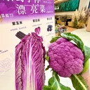万达广场(南宁大学东路店) - 南宁旅游 缩略图 2