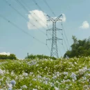 陌上花公园-五亩园 - 深圳市旅游 缩略图 7