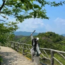 双童山景区 - 丽水市旅游 缩略图 2