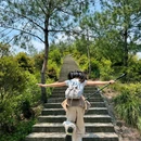 双童山景区 - 丽水市旅游 缩略图 8