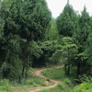 石梯沟隧道 - 广元市旅游 缩略图 5