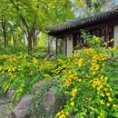 虎丘山风景名胜区 - 苏州市旅游 缩略图 6