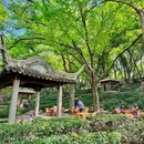 虎丘山风景名胜区 - 苏州市旅游 缩略图 8