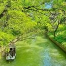 虎丘山风景名胜区 - 苏州市旅游 缩略图 9