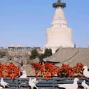 北京五道营胡同 - 北京市旅游 缩略图 2