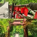 天台山 - 台州市旅游 缩略图 8