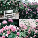 郎园Vintage - 北京市旅游 缩略图 1