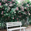 郎园Vintage - 北京市旅游 缩略图 2
