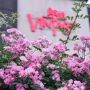 郎园Vintage - 北京市旅游 缩略图 9