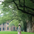 中山大学(广州校区南校园)-小北门 - 广州市旅游 缩略图 2
