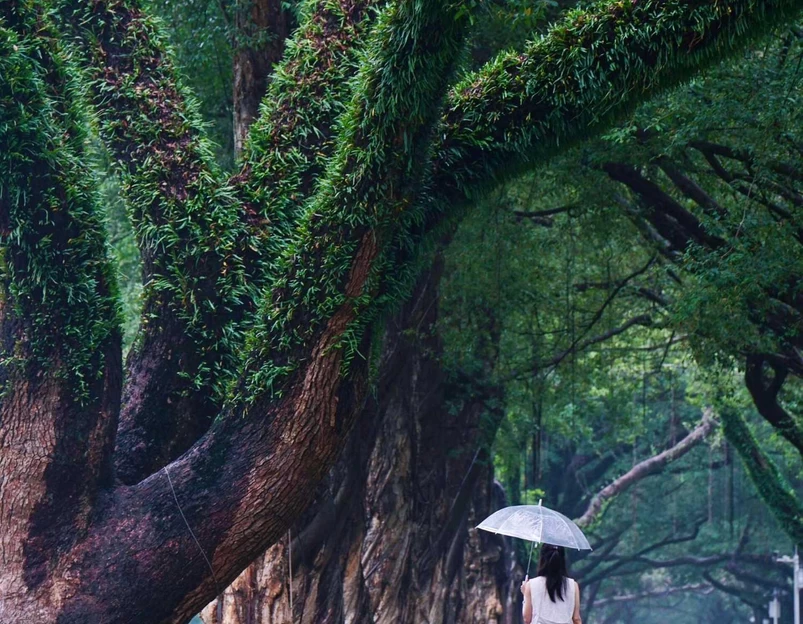 中山大学(广州校区南校园)-小北门 - 广州市旅游 1