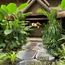 夏忘·东南亚雨林餐厅 - 西双版纳傣族自治州旅游 缩略图 3