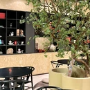 和臻棠·食棠茶肆 - 南通市旅游 缩略图 1