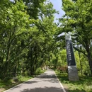 江夏区青龙山国家森林公园 - 武汉旅游 缩略图 5