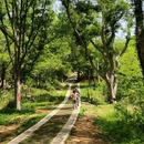 江夏区青龙山国家森林公园 - 武汉旅游 缩略图 4