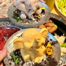 傣有为现舂野果酸汤火锅 - 深圳市旅游 缩略图 5