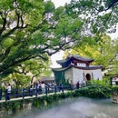 古堰画乡旅游度假区 - 丽水旅游 缩略图 1
