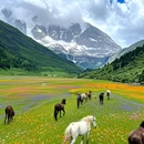 川西竹海景区 - 成都市旅游 缩略图 2