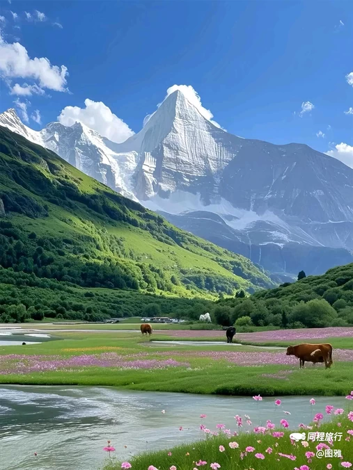 川西竹海景区 - 成都市旅游