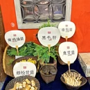 长安亭院火锅(深圳总店) - 深圳市旅游 缩略图 6