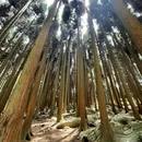 千野草场 - 重庆市旅游 缩略图 3