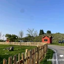 千野草场 - 重庆市旅游 缩略图 8