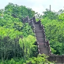龙泉山观景台 - 成都市旅游 缩略图 2