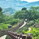 龙泉山观景台 - 成都市旅游 缩略图 4