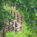 龙泉山观景台 - 成都市旅游 缩略图 8