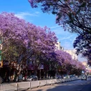 保山林森商务酒店 - 保山旅游 缩略图 5
