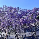 保山林森商务酒店 - 保山旅游 缩略图 6