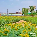 海贝公园 - 广州市旅游 缩略图 4